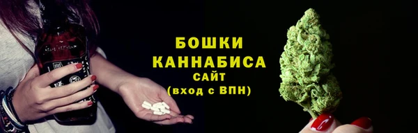 мдпв Володарск