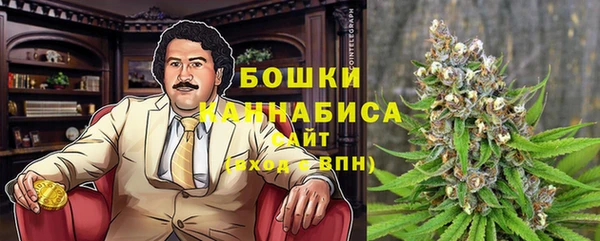 мдпв Володарск