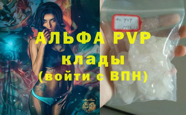 спайс Вяземский