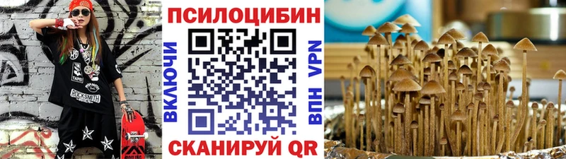 Галлюциногенные грибы мухоморы  купить закладку  Салават 